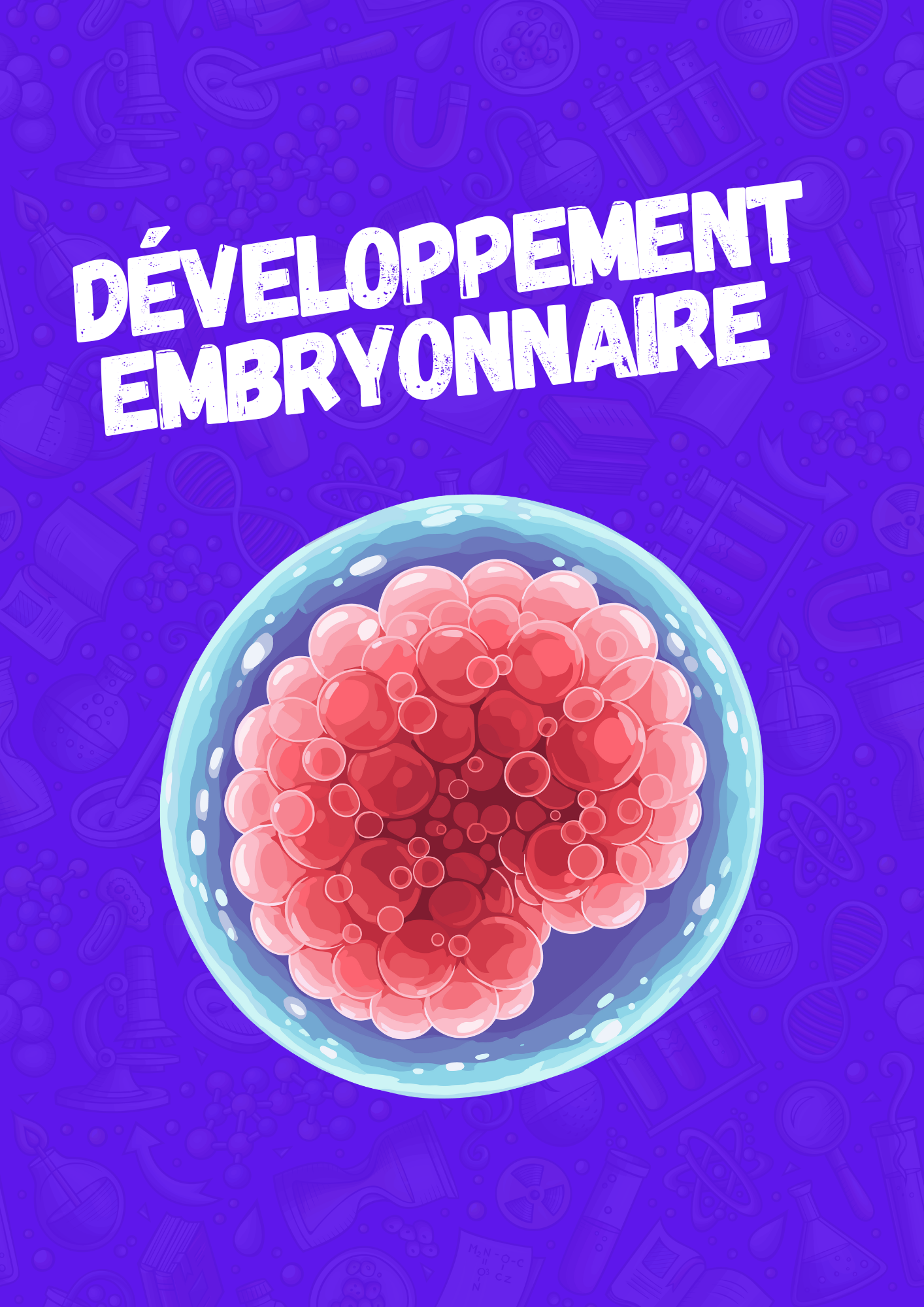 Développement embryonnaire (L3 BPA).