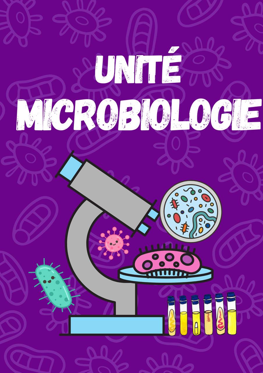 Initiation aux analyses médicales ( Unité Micrbiologie)