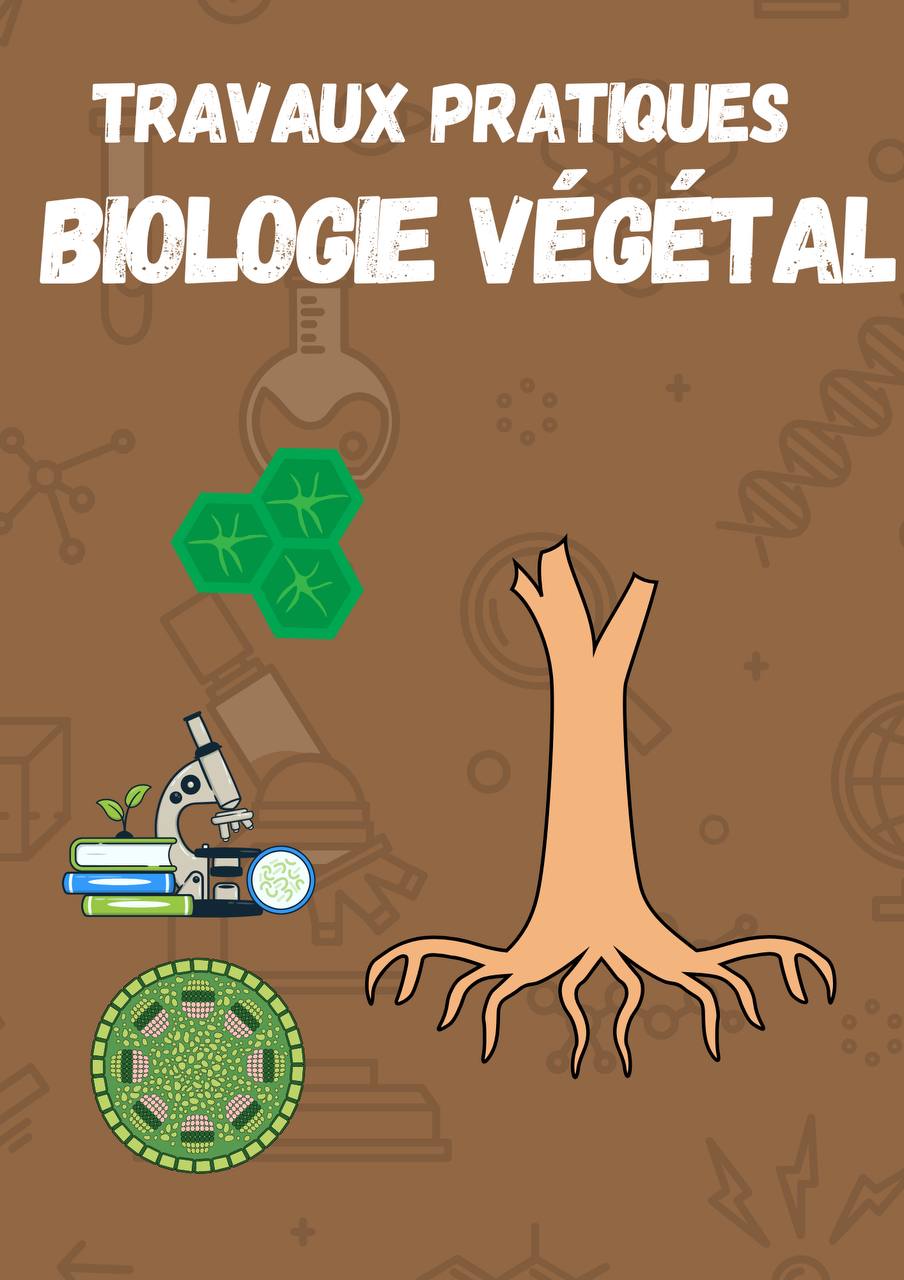 TP Biologie Végétale